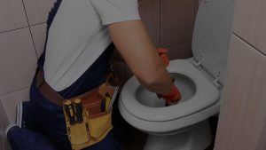 Hallandale Plumbing Services | Plumbers in Hollywood, FL - unclogged toilet